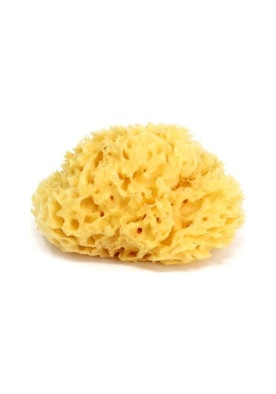 Okbaby Bebek Banyo Seti Splash Bebek Duşu K. Beyaz & Doğal Banyo Süngeri No:10 Küçük