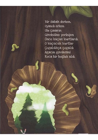 Çınar ile Sincap - Elif Esra Erdil - Erdem Yayınları