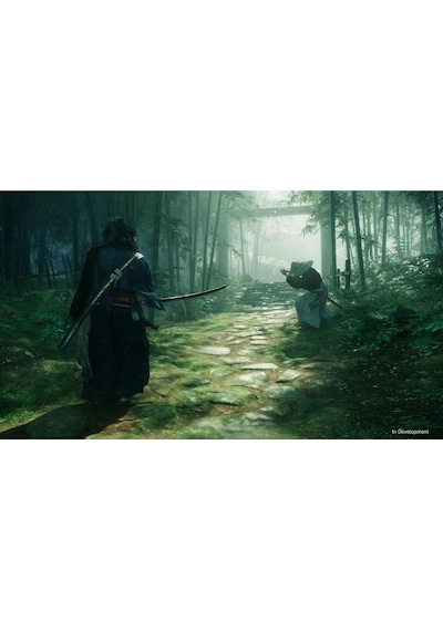 Rise Of The Ronin Ps5 Oyun
