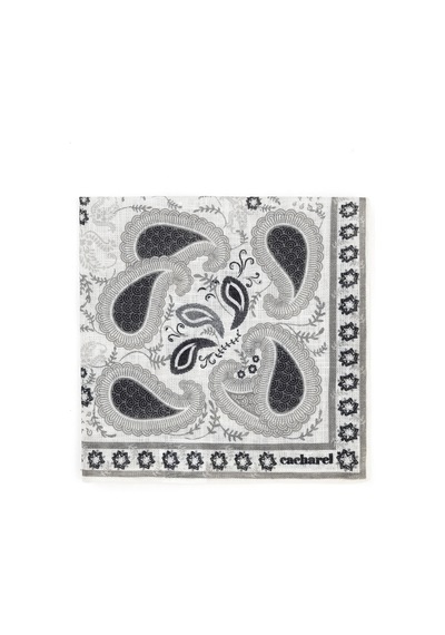Cacharel Erkek Gri Mendil 50290298-100