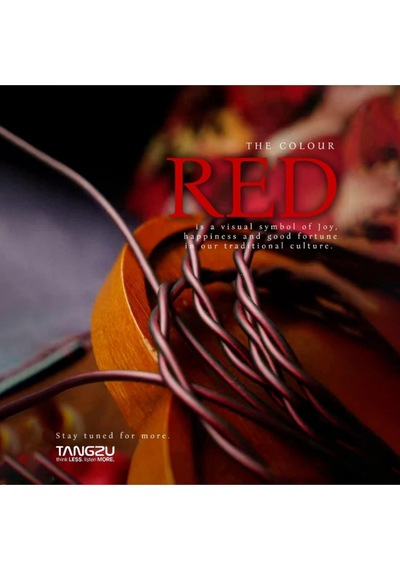 Tangzu Wan'er S.g 2 Red Lion Bass Kablolu Kulak İçi Kulaklık 3.5mm Mikrofonsuz Sip111
