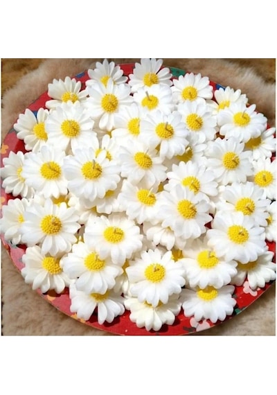 Bernami Mumluk Şamdanpinterest Papatya Suda Yüzen Mum Kokulu Mum - 1 Adet Diğer