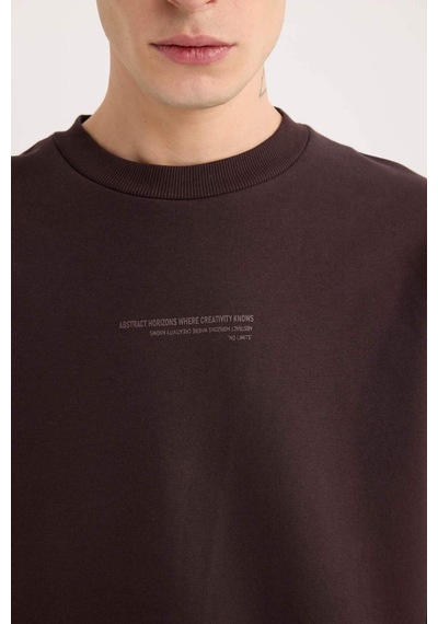 DeFacto Boxy Fit Bisiklet Yaka Baskılı Sweatshirt X8282AZ24AUBN337