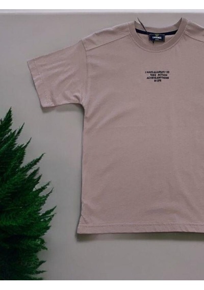 Carinos Erkek Çocuk Pamuklu I Have An Kabartma Yazılı Tshirt-14050-vizon Vizon