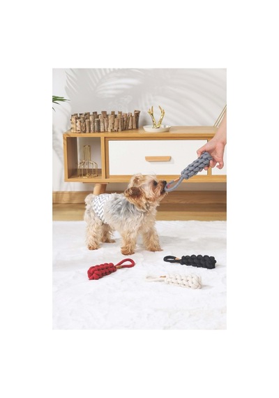 M-pets Coto Grey Loop Bar 22cm Örgü Oyuncak