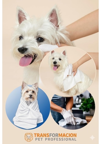 Transformacion Pet Havlusu - Kedi Köpek Banyo Havlusu Tek Kullanımlık Kuru Havlu 40x80 Cm 100 Adet 721808