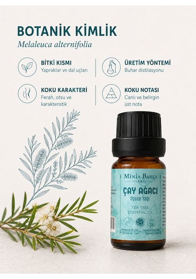 Minia Bahçe Bitki Ve Sanat Atölyesi Saf ve Katkısız Bitkisel Uçucu Çay Ağacı Yağı 10 ML