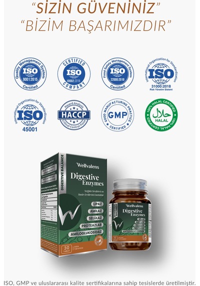 Wellvalens Digestive Enzymes İkili Paket 60 Tablet 5 Li Enzim Kompleksi, Sindirim Desteği