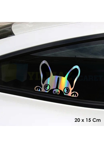 Bakan Köpek Hologram Oto Sticker Etiket Yapıştırma Araba Çıkartma