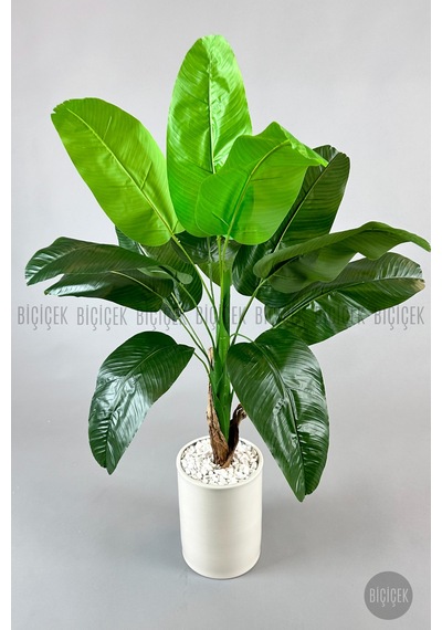 Yapay Muz Ağaci 125 Cm Krem Metal Saksıda
