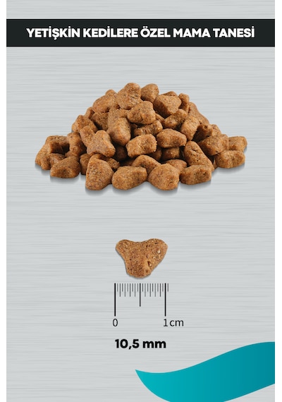 Peritas Signature Somonlu Kısırlaştırılmış Yetişkin Kedi Maması 10 KG