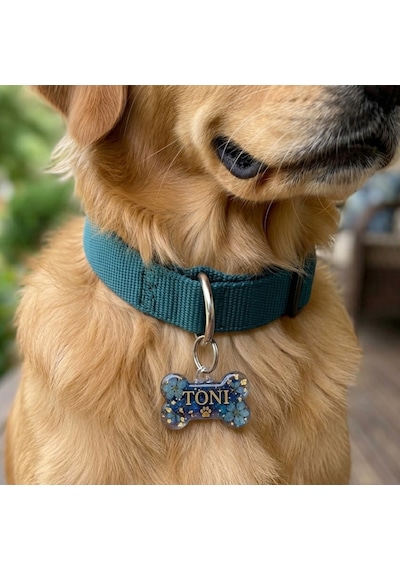 Tahtakale Toptancı Silikon Kalıp Epoksi Çoklu Köpek Kemik Tasma Künyesi Kalıbı 20 Li 4.8 X 2.8 Cm