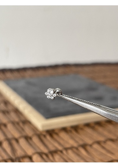 Yüksek Kalite G23 Titanium Pati Zirkon Titanyum 6 X 1.2 MM Labret Piercing Gümüş