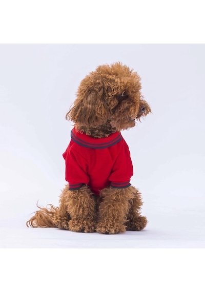 Pawstar Kırmızı Marine Polo Yaka Kedi Köpek Tişörtü Pawstar Kırmızı Marine Polo Yaka Kedi Köpek Tişörtü