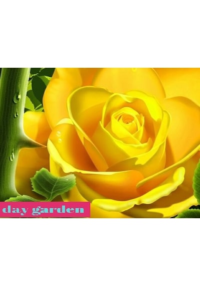 10 Adet Beyaz Gül Tohumu + 10 Adet Sebze Tohumu N114807