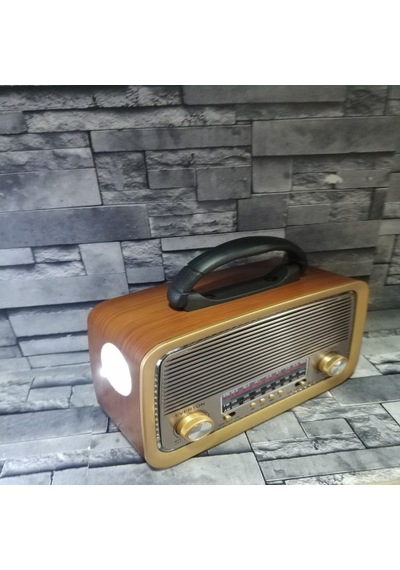 Everton Rt - 301B Fm Rad.UsbSdBt Müz.Kut.Karışık