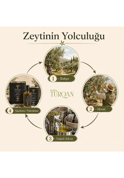 2025/2026 Yeni Sezon Erken Hasat Soğuk Sıkım Özel Seri Zeytinyağı 3000 Ml