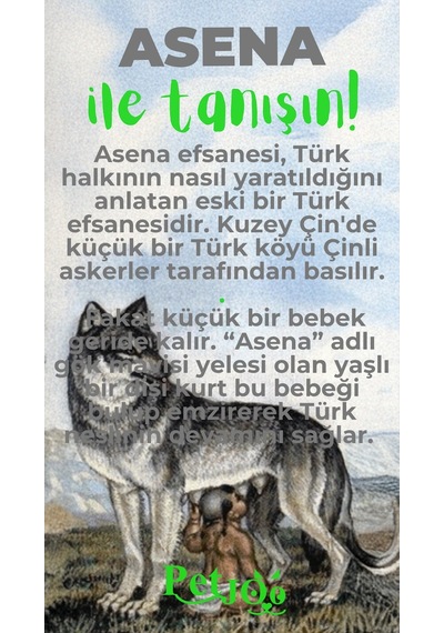 Petjoo 25.Asena Yeşil-Gri Qr'lı Köpek Künyesi