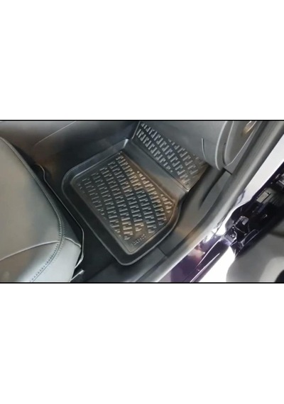 Renault Zoe 3D Paspas. Zoe 3D Havuzlu Paspas. 2012-