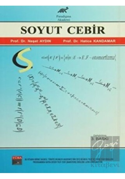 Soyut Cebir - Paradigma Akademi Yayınları