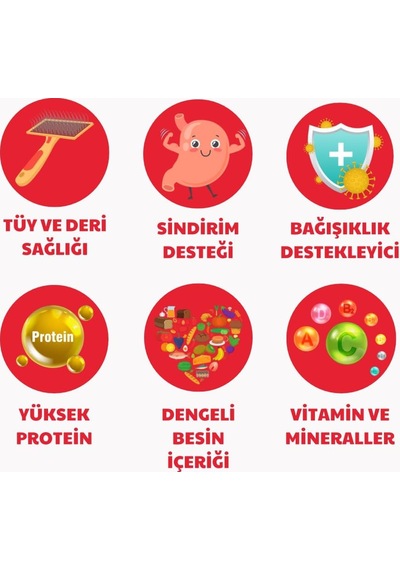 Tr Kuru Yetişkin Köpek Maması, Kuzu Etli Ve Pirinçli, Yetişkin Köpek, Yüksek Proteinli, 10kg