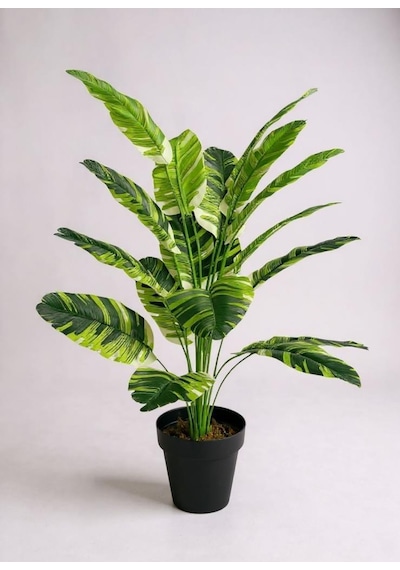 Yapay Çiçek Çizgili Muz Yapraklı Alaca Starliçe Salon Çiçeği 18dal 80 50cm Yapay Bitki Yeşil
