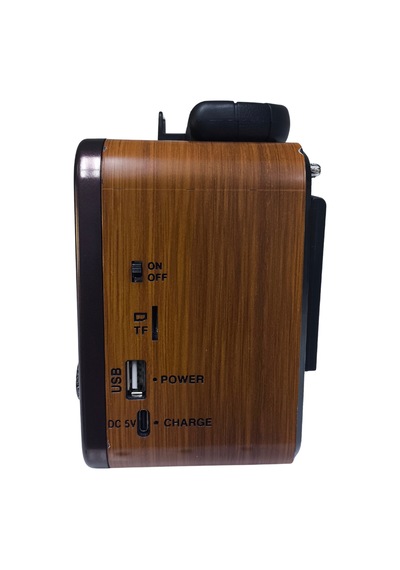 Gold Silver Gs-1360 Nostaljik Tasarım Bluetooth Radyo Yedek Pili