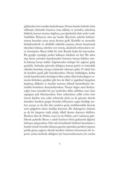 Atmacanın A'sı - Doğa Ve Hayat Üzerine