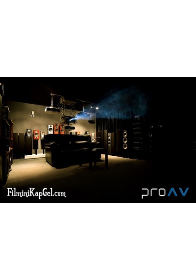 Bluesound Powernode 2 - Entegre Amfi Ve Kablosuz Müzik Streamer