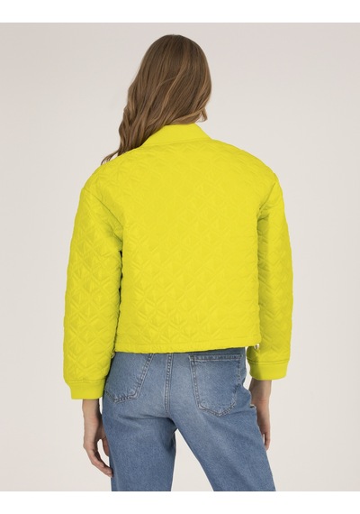 Pierre Cardin Kadın Yeşil Mont 50263118-vr232 Yeşil