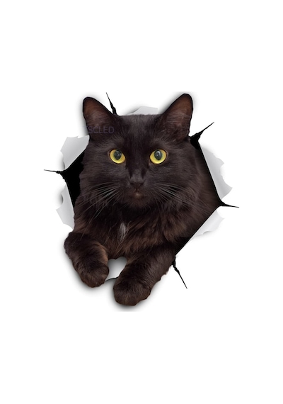 Siyah Kedi Yırtık Araba Sticker Su Geçirmez Çıkartma
