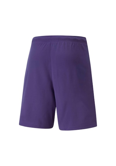 Puma Teamrise Short Erkek Futbol Şortu 70494210 Mor