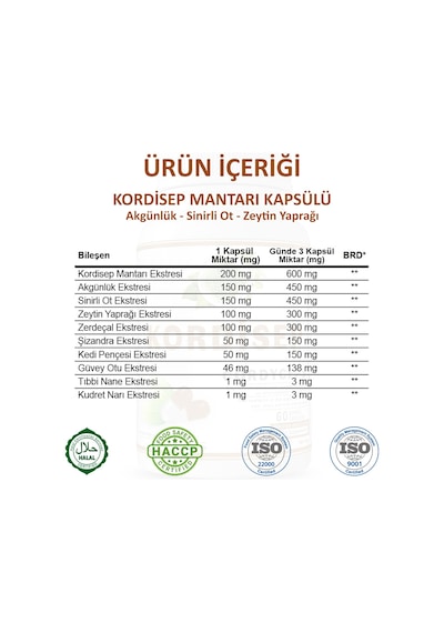 Gökçek Şifa Kordisep (Cordyceps Capsule) 60 Kapsül