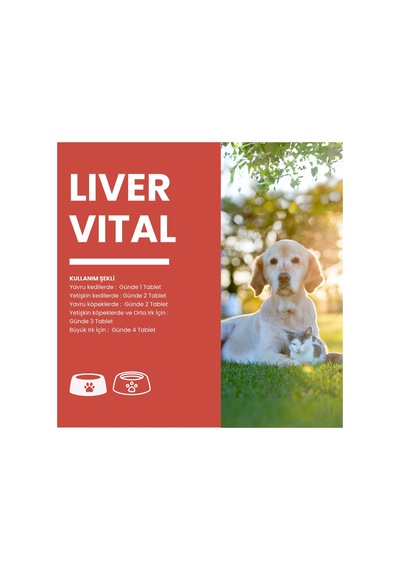 Livervital Kedi Ve Köpekler İçin Karaciğer Sağlığı Destekliyici Tablet