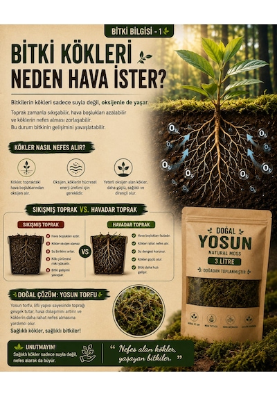 3 Litre Doğal Yosun Torfu, Lif Parça Canlı Spagnum Floor Moss Yosun, Teraryum, Orkide, Toprak Katkısı,dekor