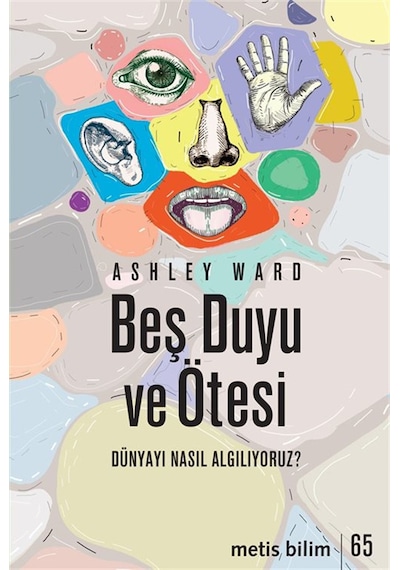 Beş Duyu Ve Ötesi & Dünyayı Nasıl Algılıyoruz / Ashley Ward