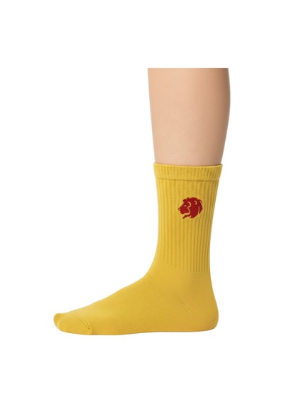 Taraftar 6 Çift Kutulu Sarı Kırmızı Aslan Nakışlı Casual Yazlık Kışlık Unisex Soket Tenis Çorap Çok Renkli