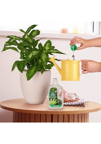 Genta Yeşil Yapraklı Bitkiler İçin Sıvı Besin 500 Ml Diğer