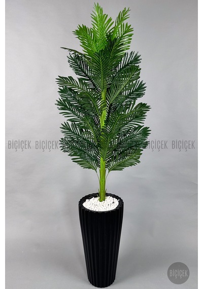 Yapay Areka Ağaci 220 Cm Si Yah Li Lyum Saksıda Siyah
