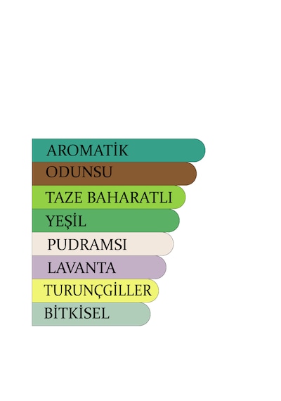 Jest No:03 Erkek Parfün EDP 50 ML