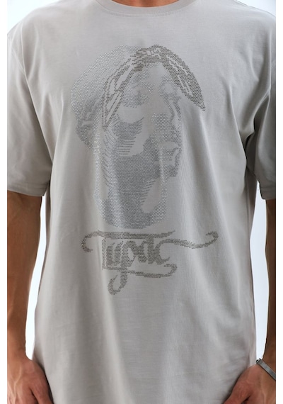 Erkek Tişört Taş Detaylı Bisiklet Yaka Kısa Kol T-shirt - Gri