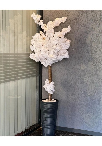 Rüzgar Yapay Çiçekçilik 170 Cm Boyunda Beyaz Bahardali Ağacı Beyaz