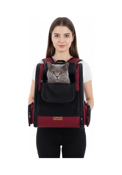 Airmove Premium Kedi Köpek Taşıma Çantası, Silinebilir, Yırtılmaz Fileli, Bükülmez Gövde, Sırt Çantası Tipi Kırmızı