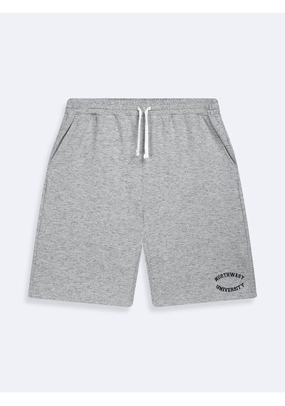 LTB Varsity Baskılı Örme Gri Şort