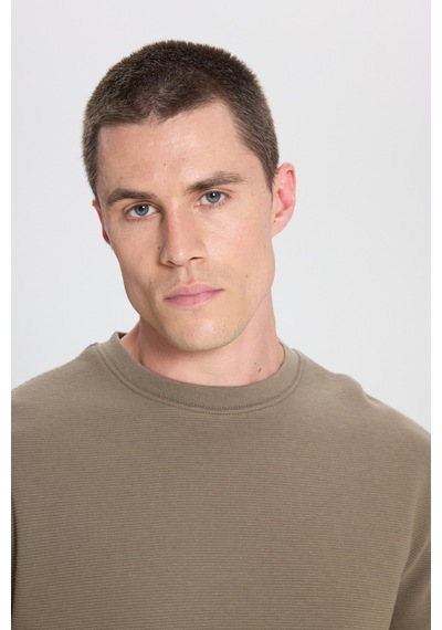 Wrangler Regular Fit Normal Kesim Bisiklet Yaka %100 Pamuk Haki Sweatshirt W242501801 Haki