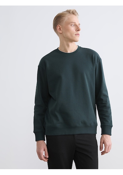 Lcw Vision Yeşil Bisiklet Yaka Erkek Kalın Sweatshirt