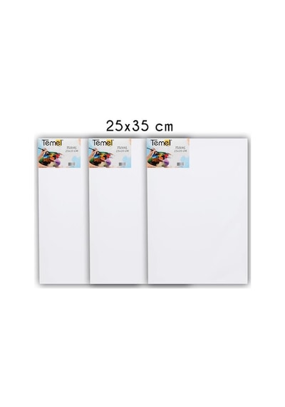 Temel 25x35 Cm 3 Lü Tuval