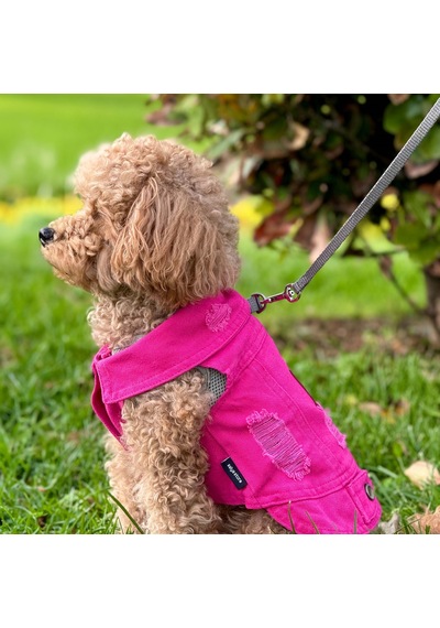 Yeni - Fuşya Renk Kot Köpek Yeleği - Küçük Irklar İçin Şık Ve Rah