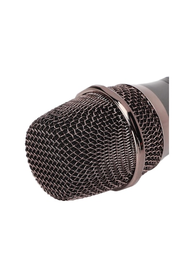 Kablosuz Karaoke Mikrofonu 6.35mm Amfi Hoparlör İçin Ve Sahne Performansı Çok Amaçlı Aktivitele Standart