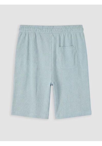 Lcwaıkıkı Classic Turkuaz Regular Fit Erkek Şort